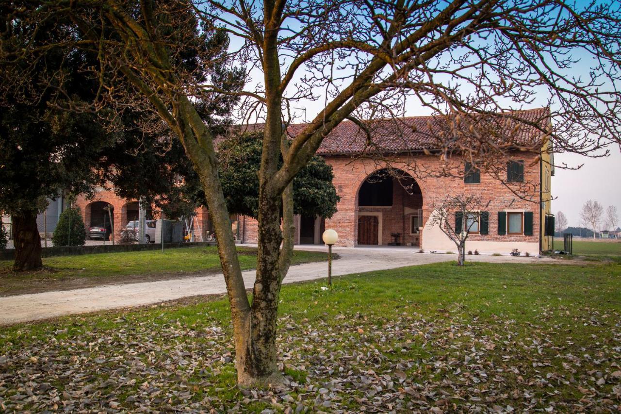 Casa Norma Piano Terra Villa San Martino di Lupari Exteriör bild